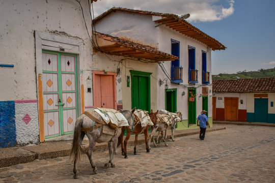 Honor a la tradici&oacute;n Colombiana