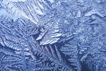 Photographing macro ice on the glass in winter Patterned like leaves