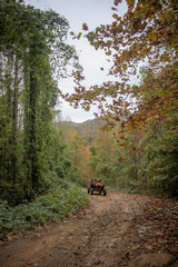 Sxs riding along Tennessee trail in the Fall