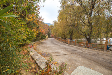 road in autumn