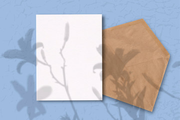 An envelope with a sheet of white paper on a blue background. Mockup with overlay of plant shadows . Natural light casts the shadow of field plants and flowers from above