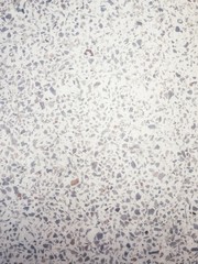 Cement wall background & Beautiful Textures. Concrete wall. White wallpaper.