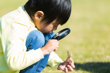男の子のポートレート