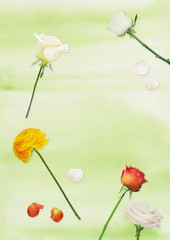 Spring background with rose and ranunculus flower.