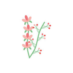 Isolated red and pink flower flat style icon vector design