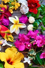 Plumeria, Hibiscus, Heliconia, Bougainvillea, Tropical Flowers