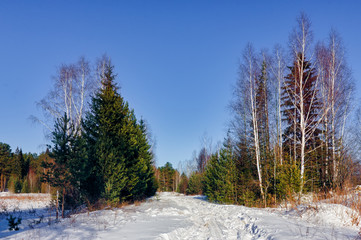 Winter landscape at sunset by a snowy forest lake. Winter forest.
