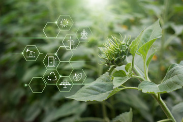 Abstract environment, Renewable energy, Green flower and energy resources icon on nature background.