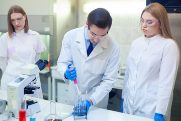 Fototapeta premium A group of scientists conducts research in a scientific laboratory using advanced technology
