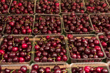 Close up of pile of ripe cherries