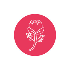 Flower inside pink circle line block style icon set vector design