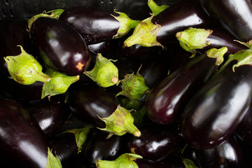 A lot of pieces of eggplant close up