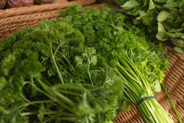 Fresh bunch of parsley , close up