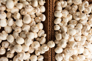 Fresh champignon mushrooms in a basket