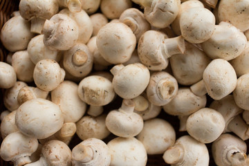 Fresh champignon mushrooms in a basket