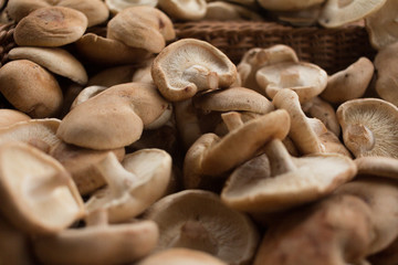 A pile of earthy chestnut mushrooms