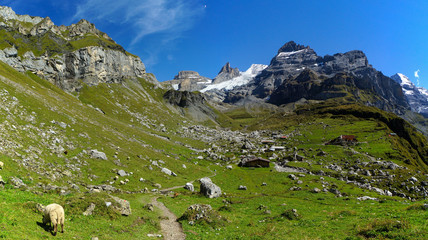Fototapeta na wymiar Blümisalp Alpine Summit in Kandersteg