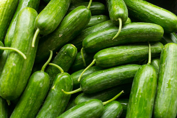 Close up of cucumber