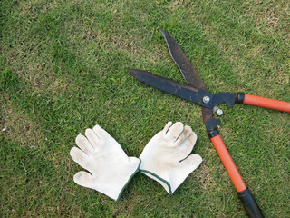 grass scissors and white glove