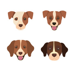 group of head dogs animals icons vector illustration design