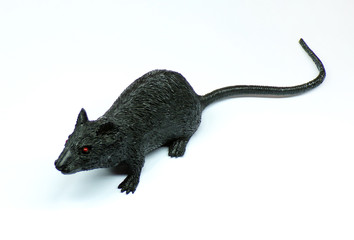 Mouse isolated on a white background. Artificial mouse toy close-up. Black rubber rat as a toy for a cat. Fake rat and mouse. Rodents. Home pests. Vectors of infection.