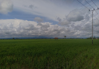 views of farm fields against a background of blue clouds and mountains