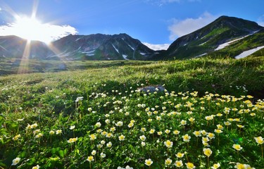 北アルプス 立山連峰　夏景色