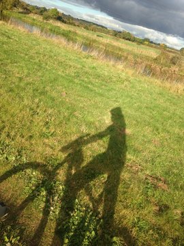 Mountain biker shadow