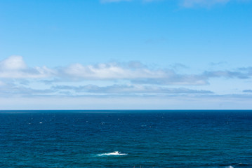広い青空の下に水平に白い雲