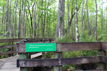 Nature Reserve - Trail Sign