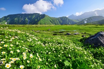 夏景色　北アルプス 立山連峰
