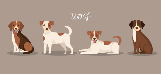 group of dogs animals icons vector illustration design