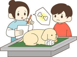 ゴールデンレトリバーの子犬（骨折） © Akira Koike