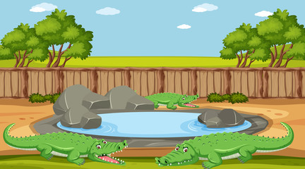 Scene with crocodile by the pond in the zoo