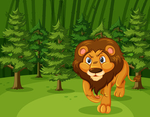 Scene with wild lion walking in the green forest