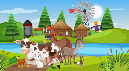 Scene with farm animals by the river at the farmyard