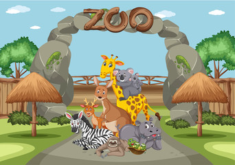 Scene with wild animals in the zoo at day time