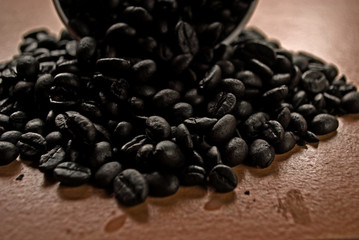 beans on black background