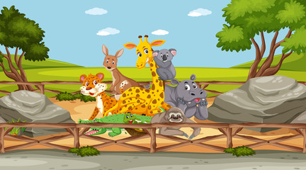 Obraz premium Scene with wild animals in the zoo at day time