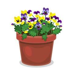 Pansies in a flowerpot isolated on a white background. Vector graphics.