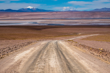 Fototapeta na wymiar Unpaved road in the Bolivian desert
