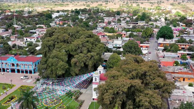 The tree of Tule in Santa María del Tule is the widest tree in the world and over 1,400 years old. Aerial video by drone orbiting move - Oaxaca, Mexico