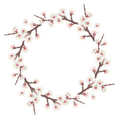 Wreath with spring flowering trees apricot on a white background. Drawing in crayons.