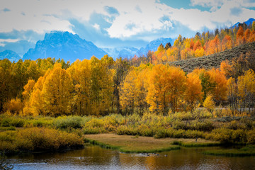 Colorful Autumn in the Grand Teton National Park, USA