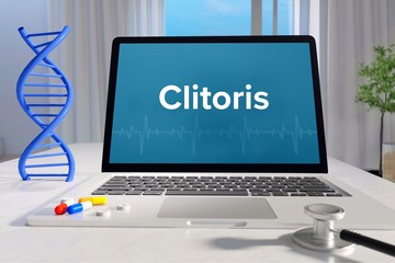 Clitoris – Medicine/health. Computer in the office with term on the screen. Science/healthcare