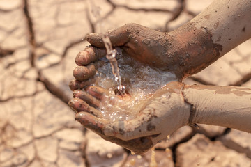on dry ground, concept hope and drought