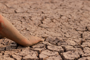 on dry ground, concept hope and drought