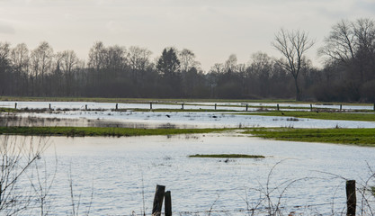 Wiesen stehen vom Dauerregen unter Wasser