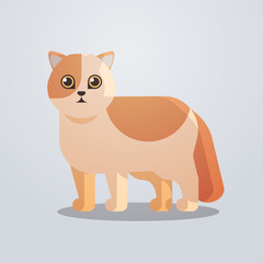 cute cat icon fluffy adorable cartoon animal domestic kitty home pet concept flat full length vector illustration