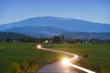 Fototapeta premium rice farm and mountain in evening time with beautiful color twilight sky 